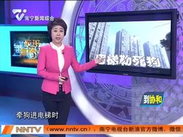 老太牵狗进电梯 狗被悬空吊死