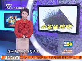 扬州：蟊贼半夜偷“野鸡”  下肚方知是孔雀