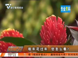 夜班多看点 2016-2-1