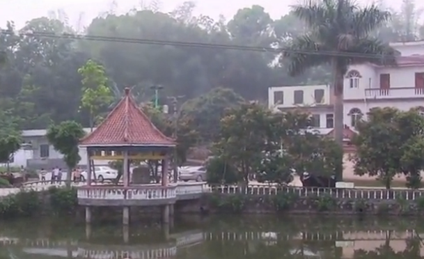 良慶區(qū)大塘鎮(zhèn)美麗風景