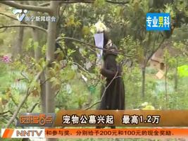 夜班多看点 2016-04-04