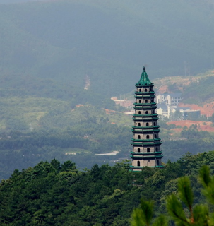 带你走走 “南宁的绿肺”——青秀山