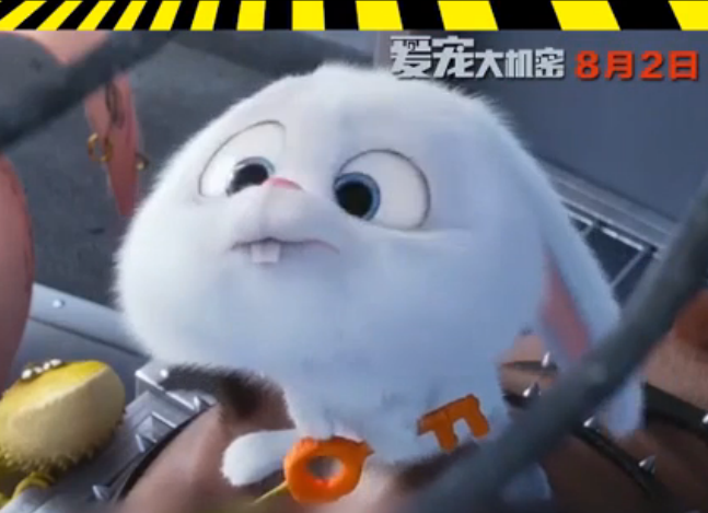 方言中還是南普最霸氣