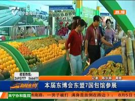 第13届中国—东盟博览会有7国包馆参展