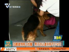 夜班多看点 2016-08-04