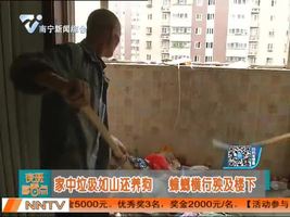 家中垃圾如山还养狗 蟑螂横行殃及楼下