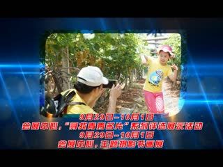 2016青秀区创意文化旅游节宣传片