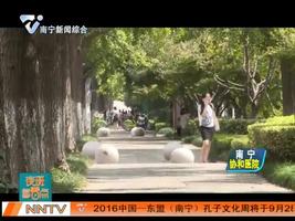 道前街再现“敲白果”  竹竿伤树市民痛心