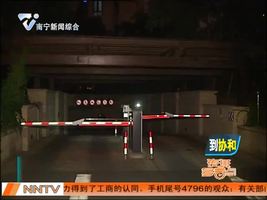 小区喵星人横行  豪车屡遭破坏