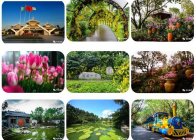 重阳来青秀山登高   海量奖品等你拿