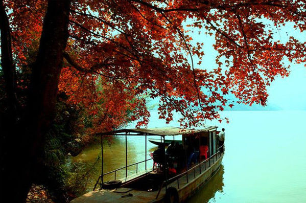 “全国十佳生态休闲旅游名县”上思县：度假养生好去处