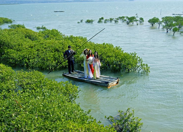 “海岸卫士”红树林：北仑河口国家级自然保护区