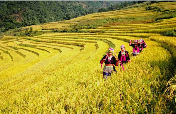 去上思县百马，不仅只为看梯田