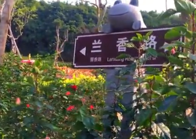 春天赏花就去青秀山兰园