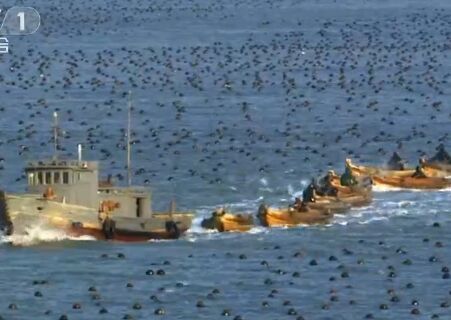 《辉煌中国》第四集：绿色家园