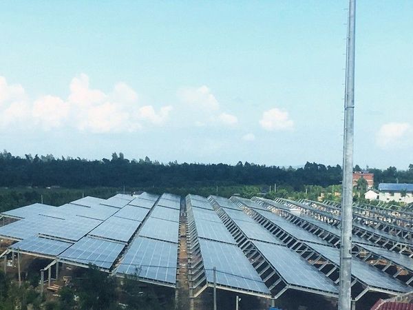 防城港“渔光互补”项目实现多赢