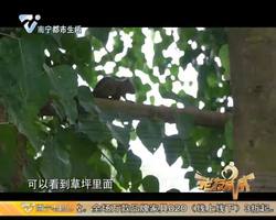 南马故事 徒步天下 跑者无疆