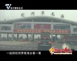 邕宝探南宁：走进钦州茅尾海 感受大蚝的诱惑