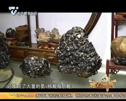 老友我最叻：李思才带您走进陨石收藏