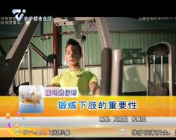 南马进行时 锻炼下肢的重要性