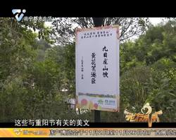 老友话你知特别报道：青秀山第二届重阳登高节圆满落幕