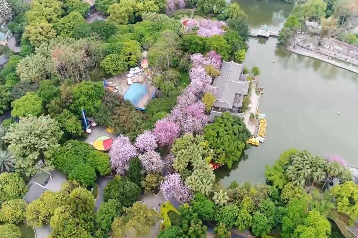 我把手机扔上天 竟然拍到了这样的画面