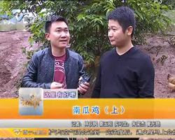 这里有好嘢 南瓜鸡（上）