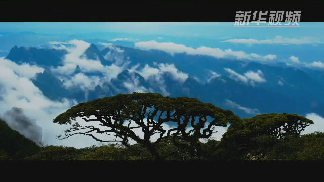 壮美新广西60秒