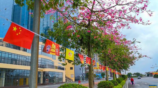 防城港市营造迎接自治区成立60周年浓厚氛围