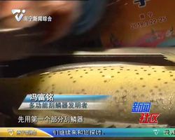 南宁：小小发明家创意多 科技创新大赛展成果