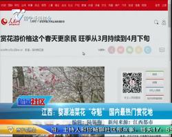 江西：婺源油菜花 “夺魁” 国内最热门赏花地