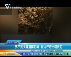 男子武大猛摇樱花树 校方呼吁文明赏花