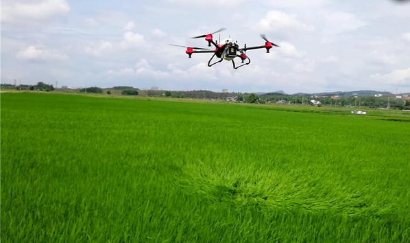 东兴：无人机在水稻绿色防控中“大显身手”