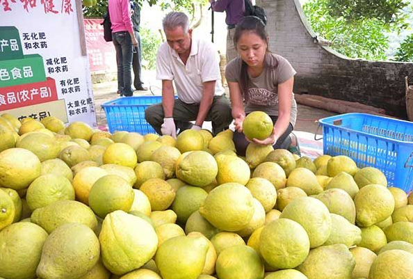 2018年1到4月玉林农产品出口增两成