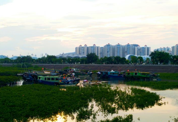 台风“艾云尼”将临 防城港部分渔船靠岸避风