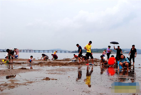 防城港“城在海中，海在城中”的美景吸引游客不约而至