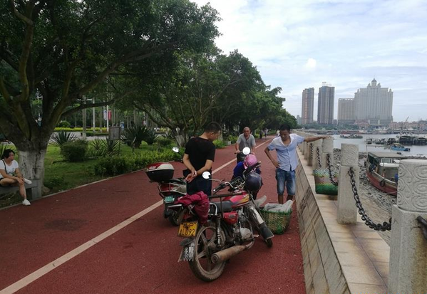 海湾绿道：车辆依然“横行”
