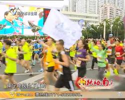 老友话你知：12月2日“南马”燃爆全城  9月25日开始接受报名