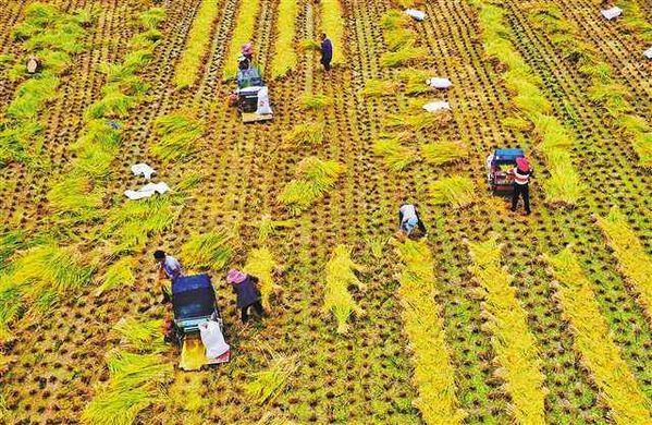 网友看南宁：邀您走进马山深度贫困村，感受扶贫攻坚的成果