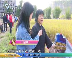 稻花香里说丰年 农耕文化新体验