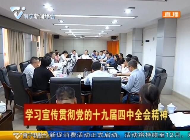 凝聚发展共识 勇于担当作为 南宁市各县区认真传达学习贯彻党的十九届四中全会精神
