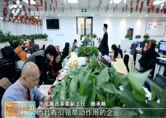 【在习近平新时代中国特色社会主义思想指引下—新时代 新作为 新篇章】发挥政策扶持效应   增强服务经济发展新动能