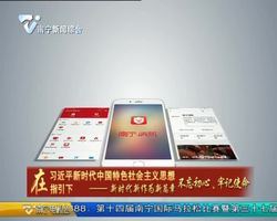 南宁市消防救援支队：践行训词守初心  履行职责担使命