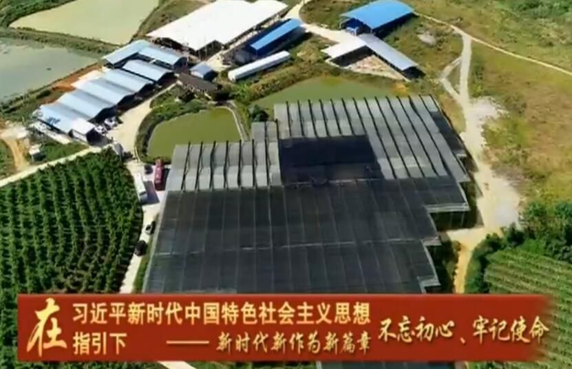 以主题教育为契机推动村级集体经济实现历史性突破 南宁市所有村级集体经济收入均超4万元 