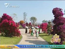 周末邀您打卡 花开正艳游人醉 赏花胜地等您来