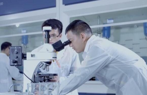 南宁强化企业科技创新主体地位 激发企业创新创造能力