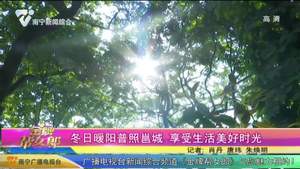 冬日暖阳普照邕城 享受生活美好时光