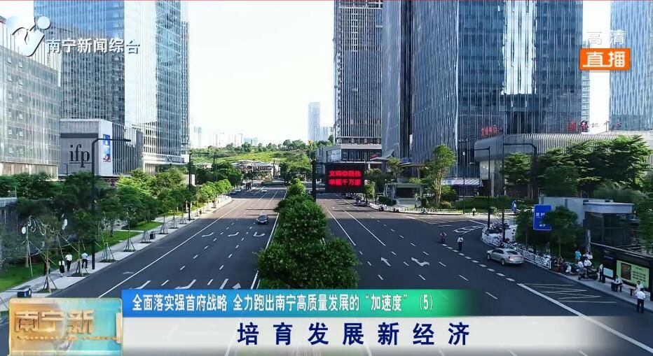 全面落实强首府战略  全力跑出南宁高质量发展的“加速度”（5）培育发展新经济