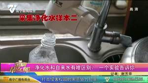 净化水和自来水有啥区别？一个实验告诉你