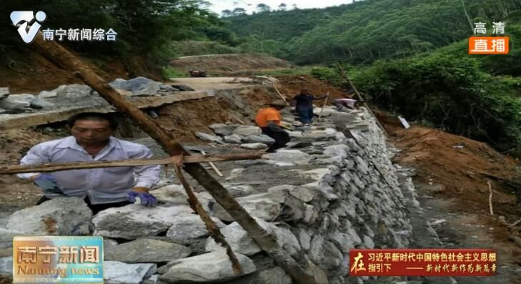 南宁市主题教育专项整治成效系列报道（4）打通贫困村屯“致富路”